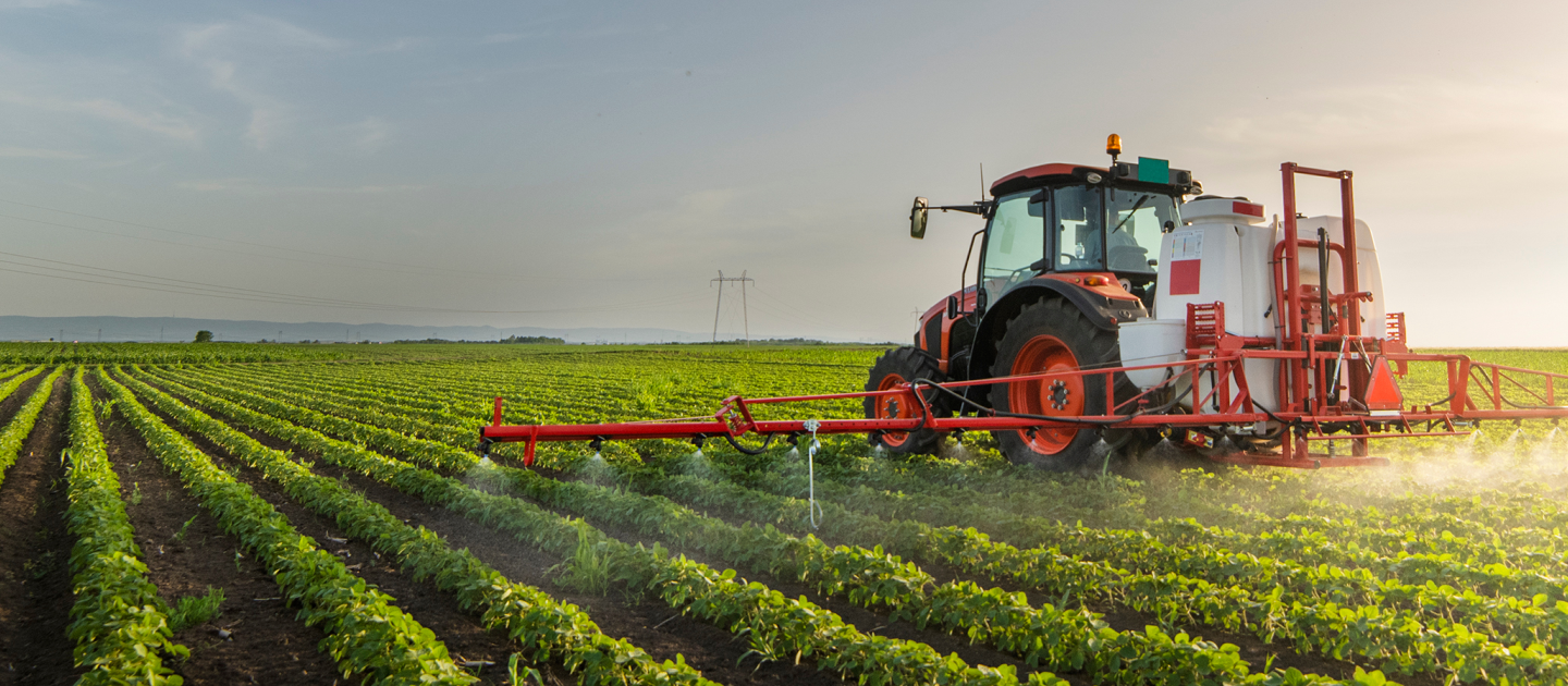 A red tractor with a sprayer attachment is moving through green crop rows in a large agricultural field, applying pesticides at sunset. The sky is clear, and power lines are visible in the distance.